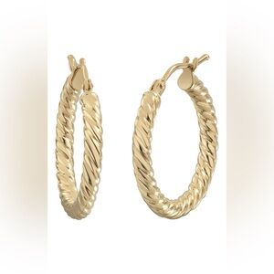 Golden Spiral Twist Earrings